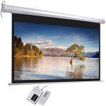 Màn chiếu điện Dalite FILM120 (2m65 x 1m49) - 120 inch