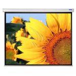 Màn chiếu điện Dalite FILM133 (2m95 x 1m65) - 133 inch